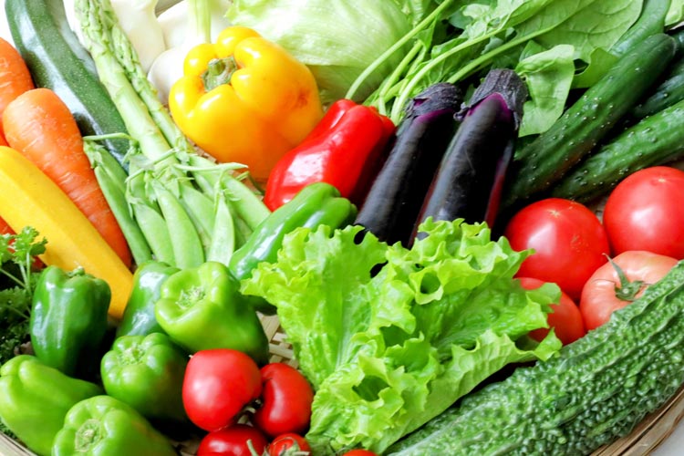 食事療法のイメージ画像