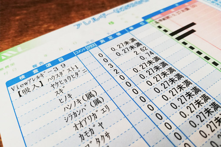 血液アレルギー検査イメージ画像